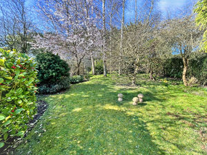 Photo 5- click for photo gallery